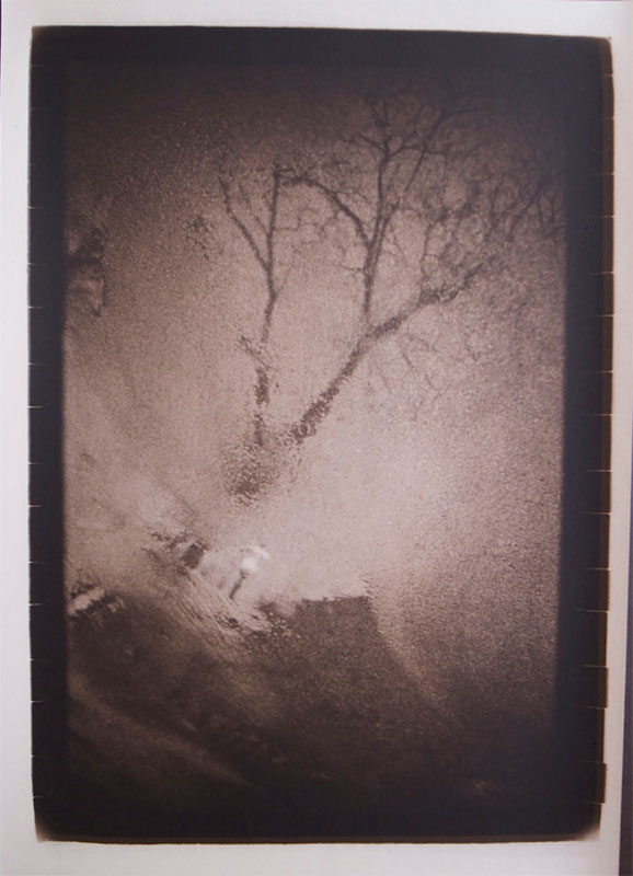 ©Makiko Kumano