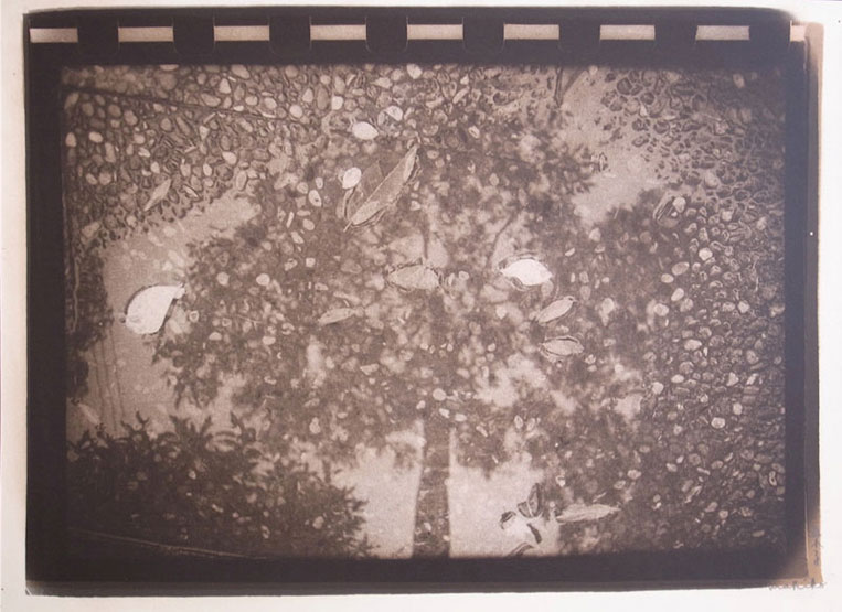 ©Makiko Kumano